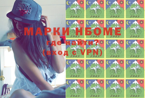 индика Гусиноозёрск