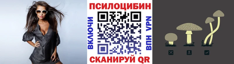 Купить закладки  Салават  Галлюциногенные грибы Psilocybe 